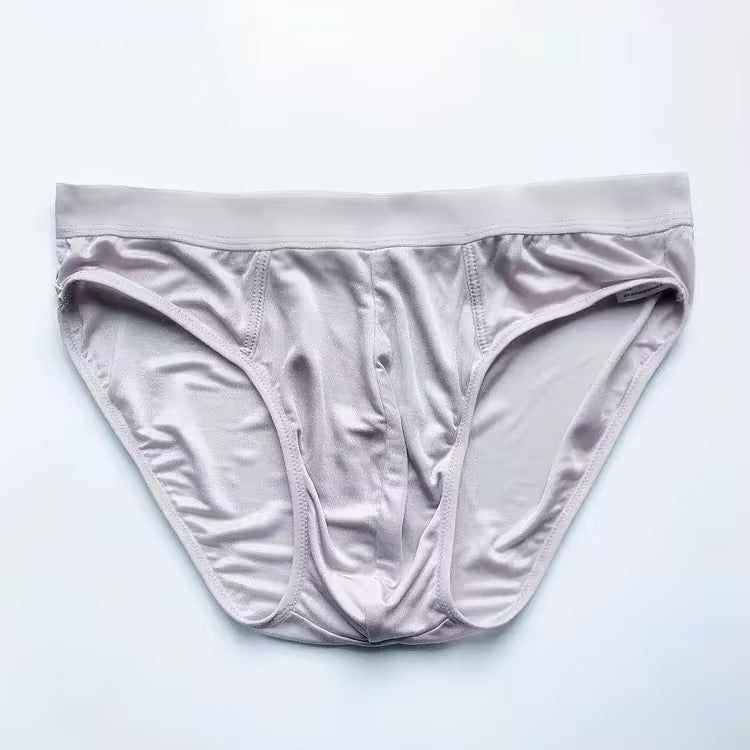 SIIK 2Pcs Silk Thin Breathable Briefs Underwear