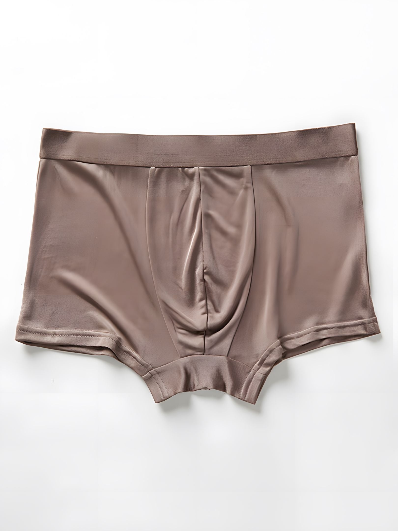 SIIK Silk Men's 4 Pcs Breathable Boxer Briefs Underwear