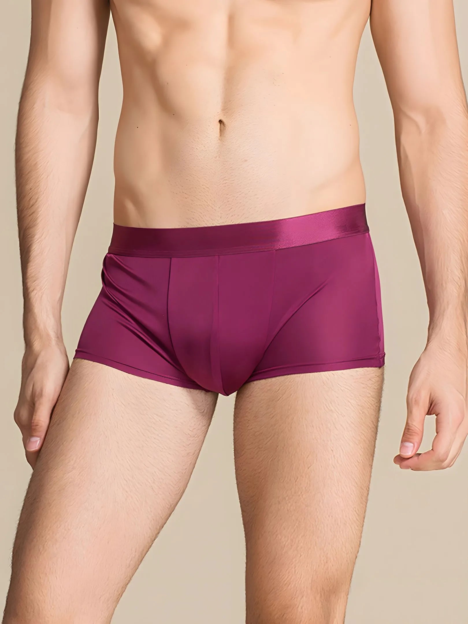 SIIK Silk Men's Large Size Mid-Rise Boxer Briefs Underwear